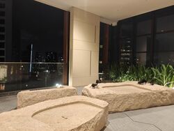 The Ritz-Carlton  (D9), Condominium #571815321